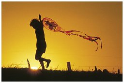 nurturing social enterprises